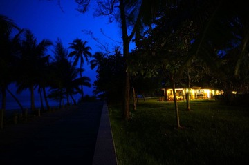 DSC01031.jpg