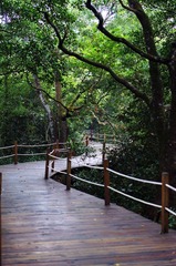 DSC00833.jpg