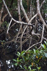 DSC00839.jpg