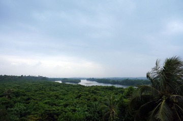 DSC00859.jpg