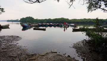 DSC00882.jpg