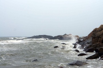 DSC00785.jpg