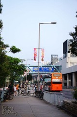 DSC01357.jpg