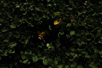1000010822