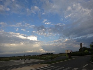 IMG_2319.jpg