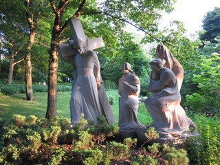 IMG_2079.jpg