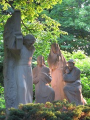 IMG_2082.jpg