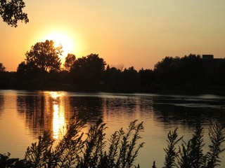 IMG_4380.jpg