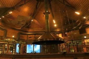 IMG_3559.jpg
