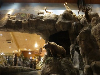 IMG_3600.jpg