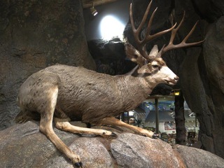 IMG_3613.jpg