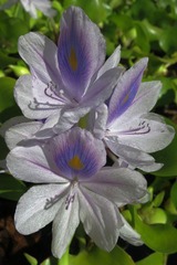 IMG_3418.jpg