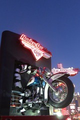 IMG_3536.jpg