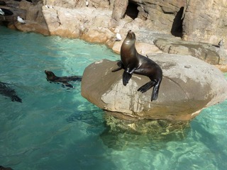 IMG_6339.jpg