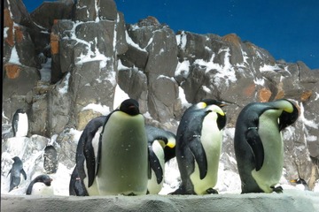 IMG_6579.jpg