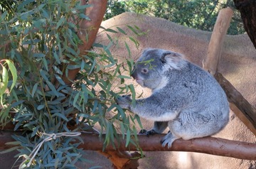 IMG_7004.jpg