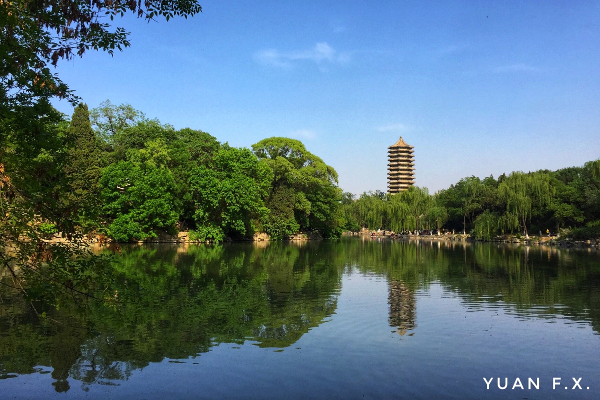 北大未名湖手机随拍