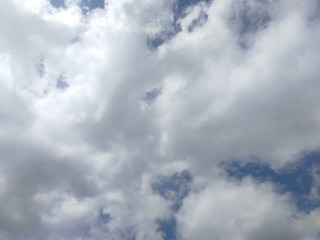 1657974
