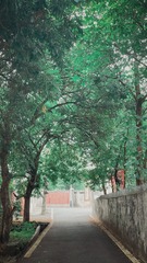 751A5FF1-74DB-43F9-8AF1-FCCF3C650052/L0/001