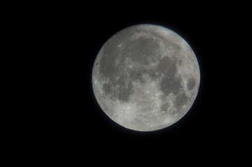 3B9084D6-5752-459B-8728-FF98A11DF598/L0/001