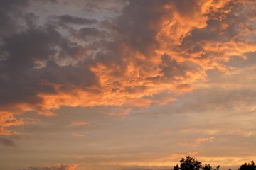 D01ECA44-C8E6-46DF-8FA1-563B063A77C2/L0/001