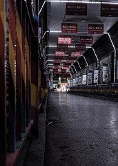 86248