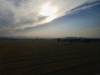 18513