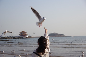 7A89F582-C76D-468C-AD96-B3708B360319/L0/001