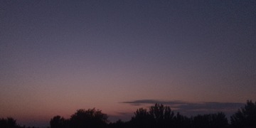 1960246