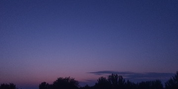1960247