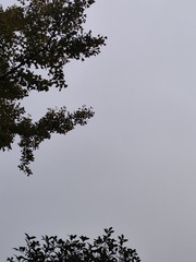 1000007170