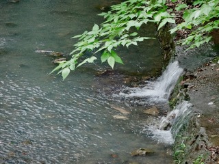 640D4609-6A8A-4AD1-8E78-7D1811658276/L0/001