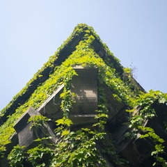 1000010454