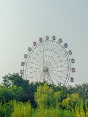 A0C2238E-FA85-42A3-A079-69AB3AA491C2/L0/001
