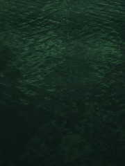 1000031858