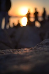 9099C2E7-A378-4DD4-9469-938A2C10049F/L0/001