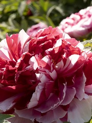 0B41DB08-65D5-4A42-AA49-267712E9DB8F/L0/001