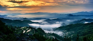 山     雾