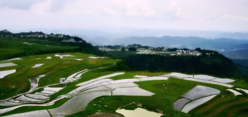 农田春色