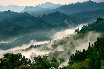 稻田“温泉”