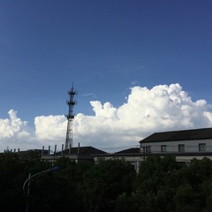 3A1C855C-9D32-43E3-8BA7-919971B8CF5D/L0/001