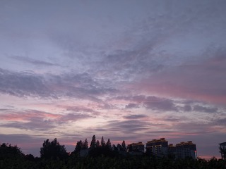 30809