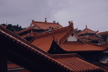 25509C16-B568-4522-B0A3-E5B8D69463FD/L0/001