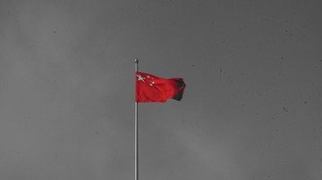 176713