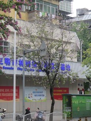 200996