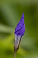 123550