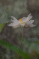 _J3A5876