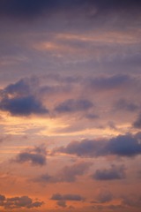 50E5D972-1D11-4839-A552-74792C47985A/L0/001