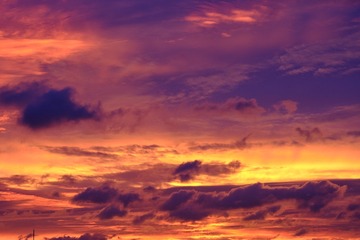 2F1FC325-B3FB-4CF2-99E8-E3BD92F1068F/L0/001