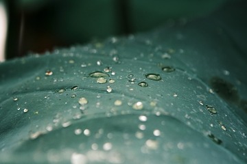 BC6DA6FB-0359-490D-AB58-513ED42DAF81/L0/001
